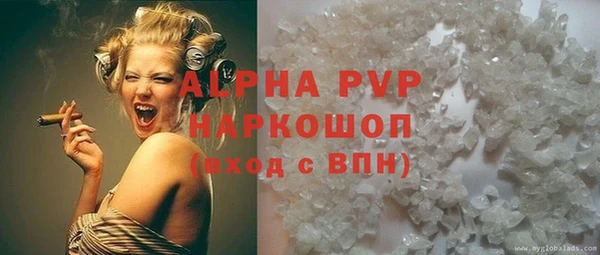 гидра Корсаков