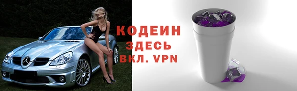 гидра Корсаков