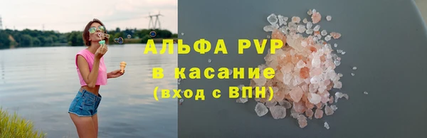 гидра Корсаков