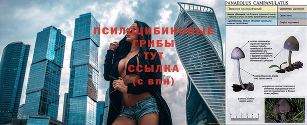 гидра Корсаков