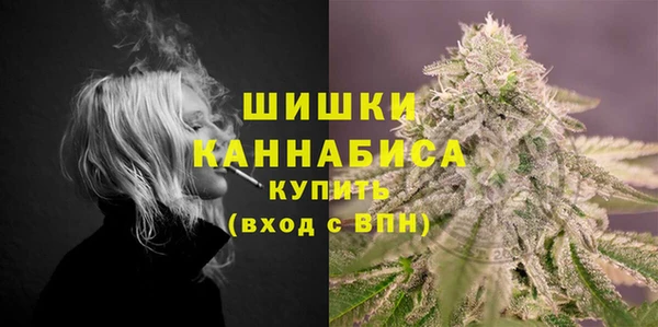гидра Корсаков
