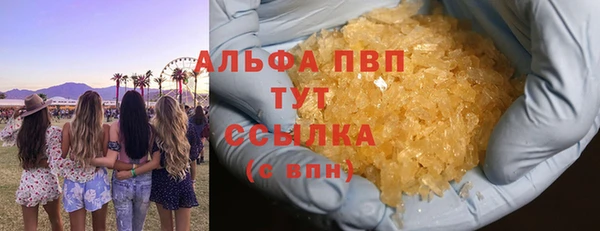 гидра Корсаков